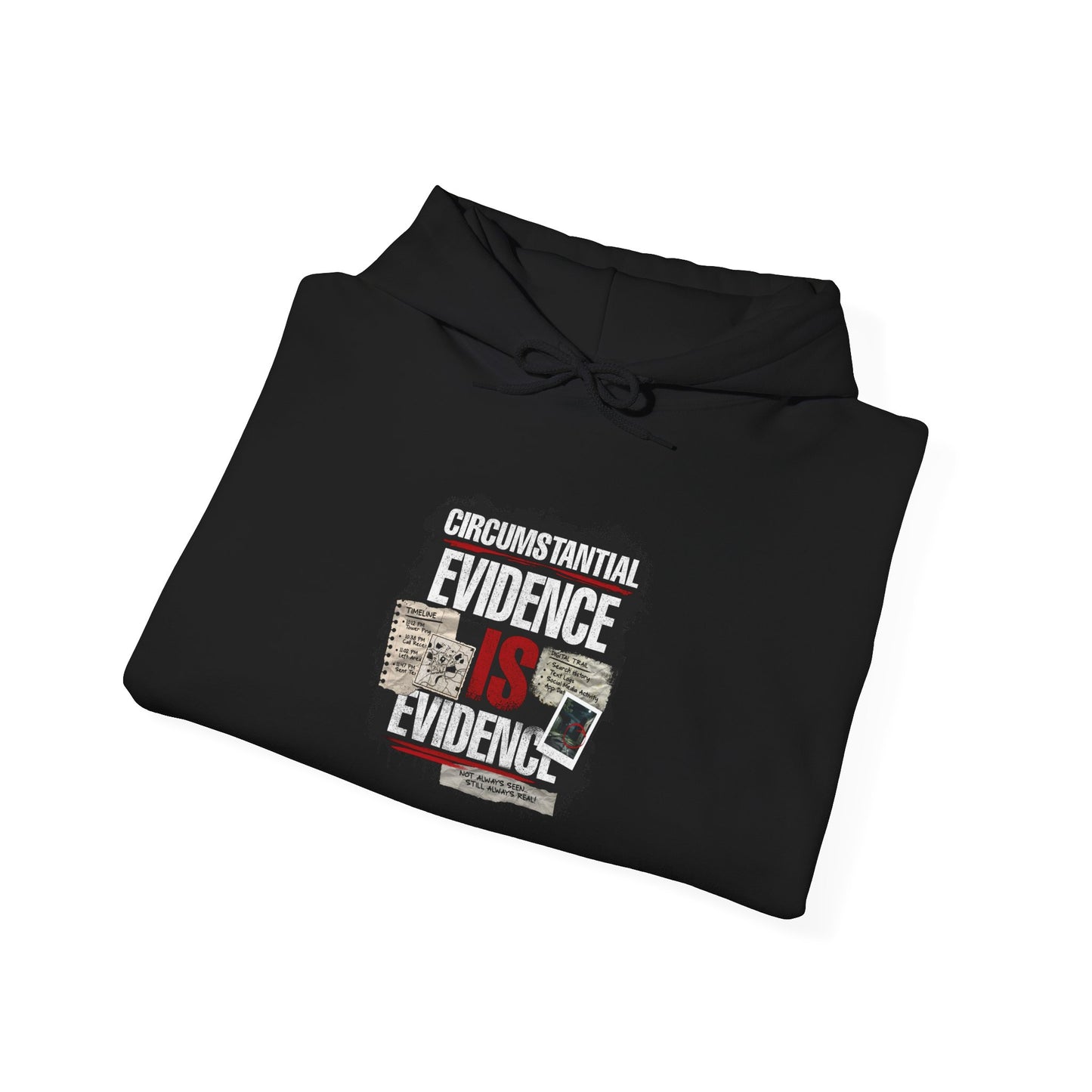 Circumstantial Evidence Is Evidence | True Crime Pullover Hoodie