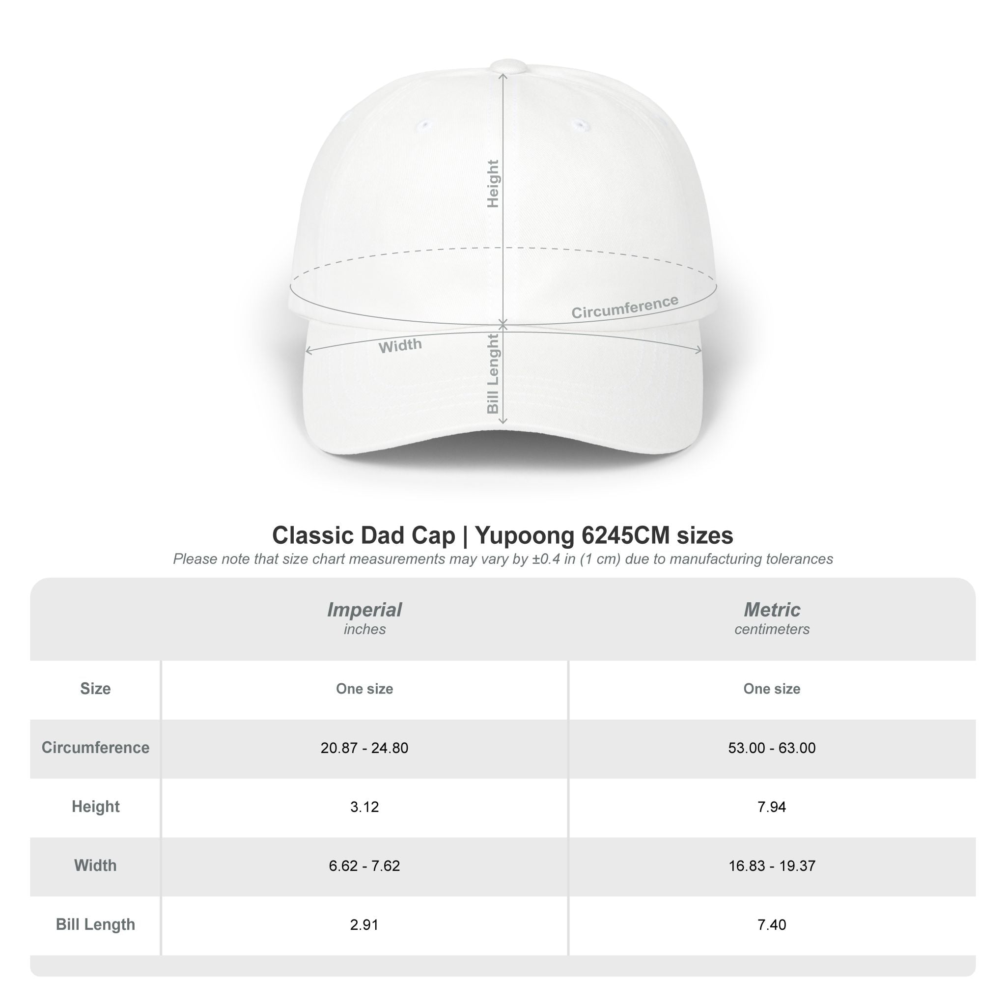 Dad Cap — "Did Mechanics, Still Died" Embroidered Baseball Hat